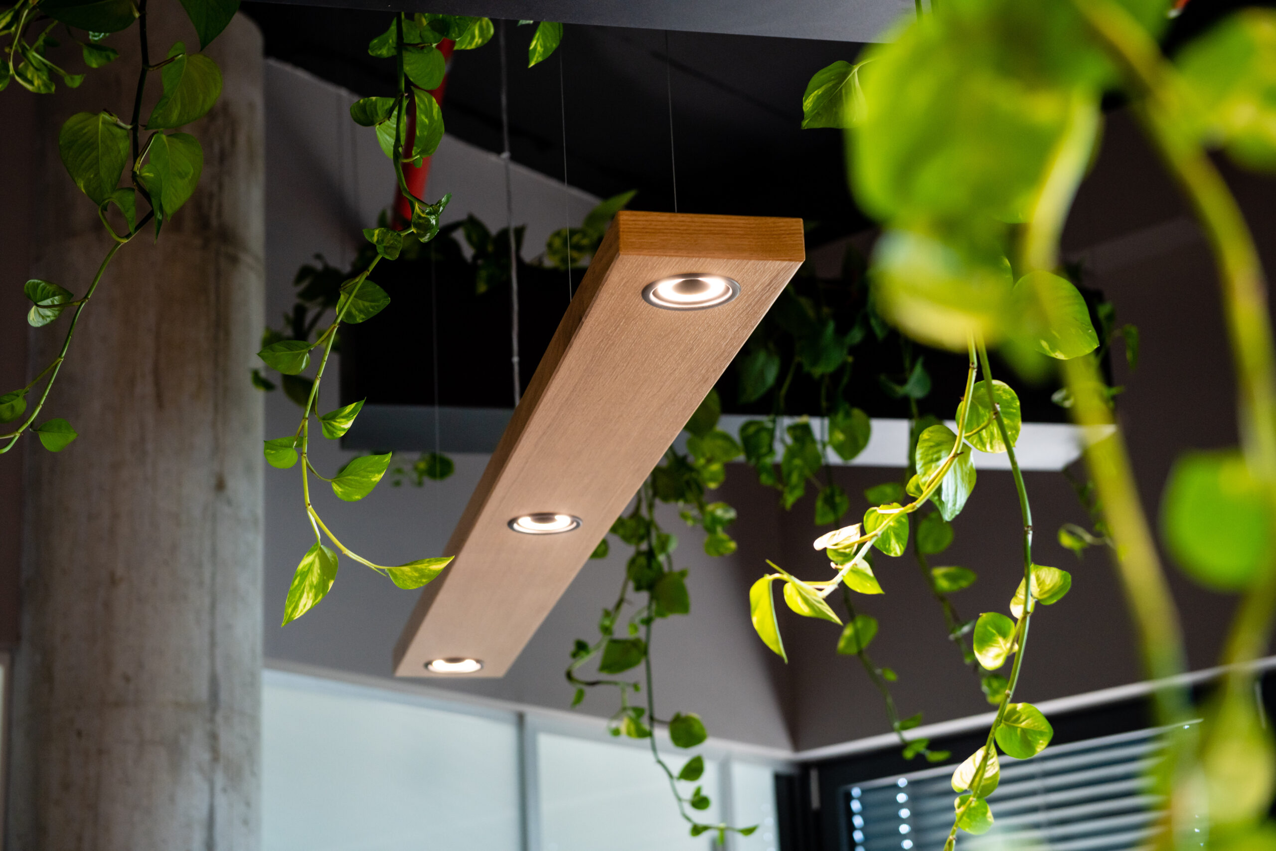 IKAR ring luminaire recessed RIMO office