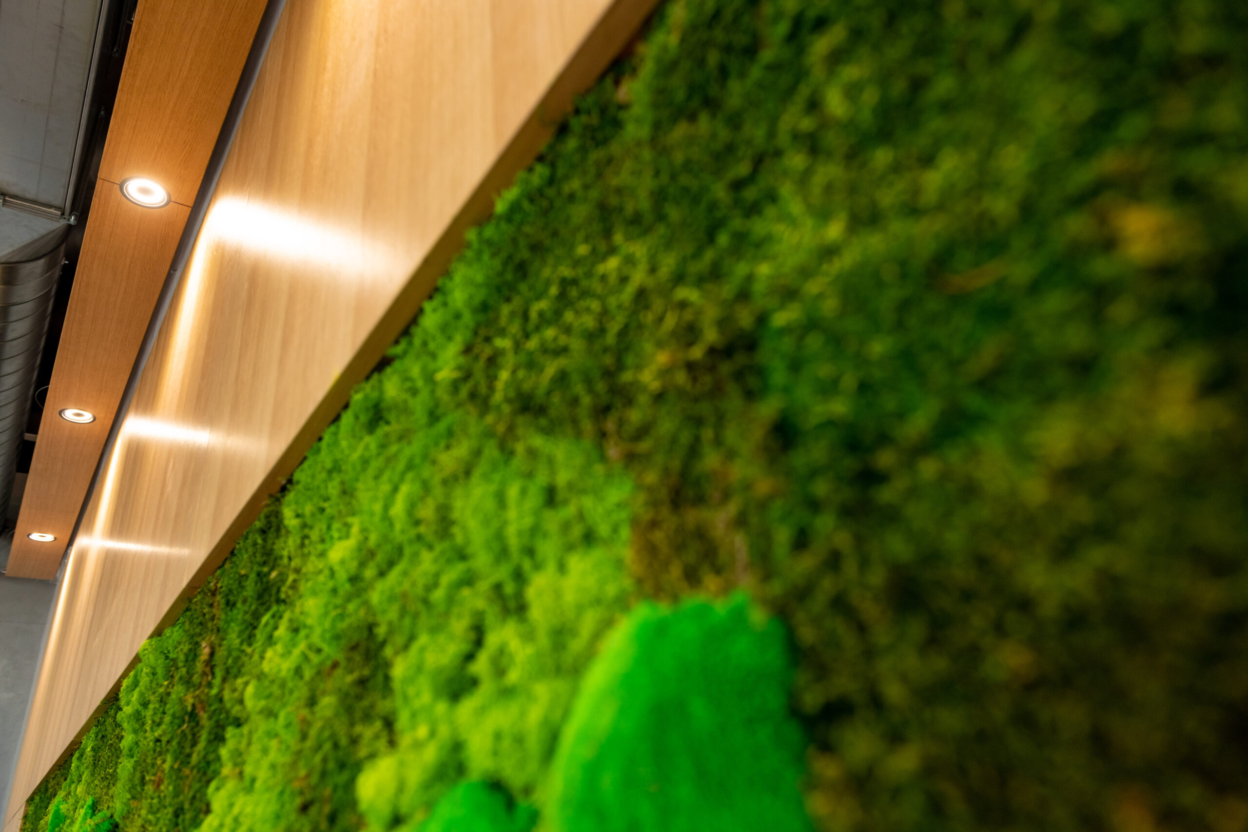 IKAR ring shaped recessed luminaire by LED Luks in Rimo office
